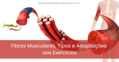 Fibras Musculares, Tipos e Adaptações aos Exercícios